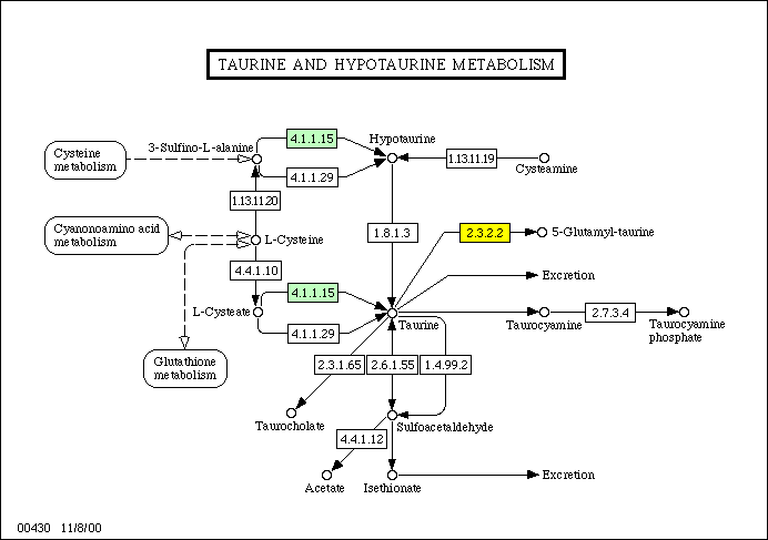 4-Aminobutyrate Transaminase; beta-Alanine Ketoglutarate ...